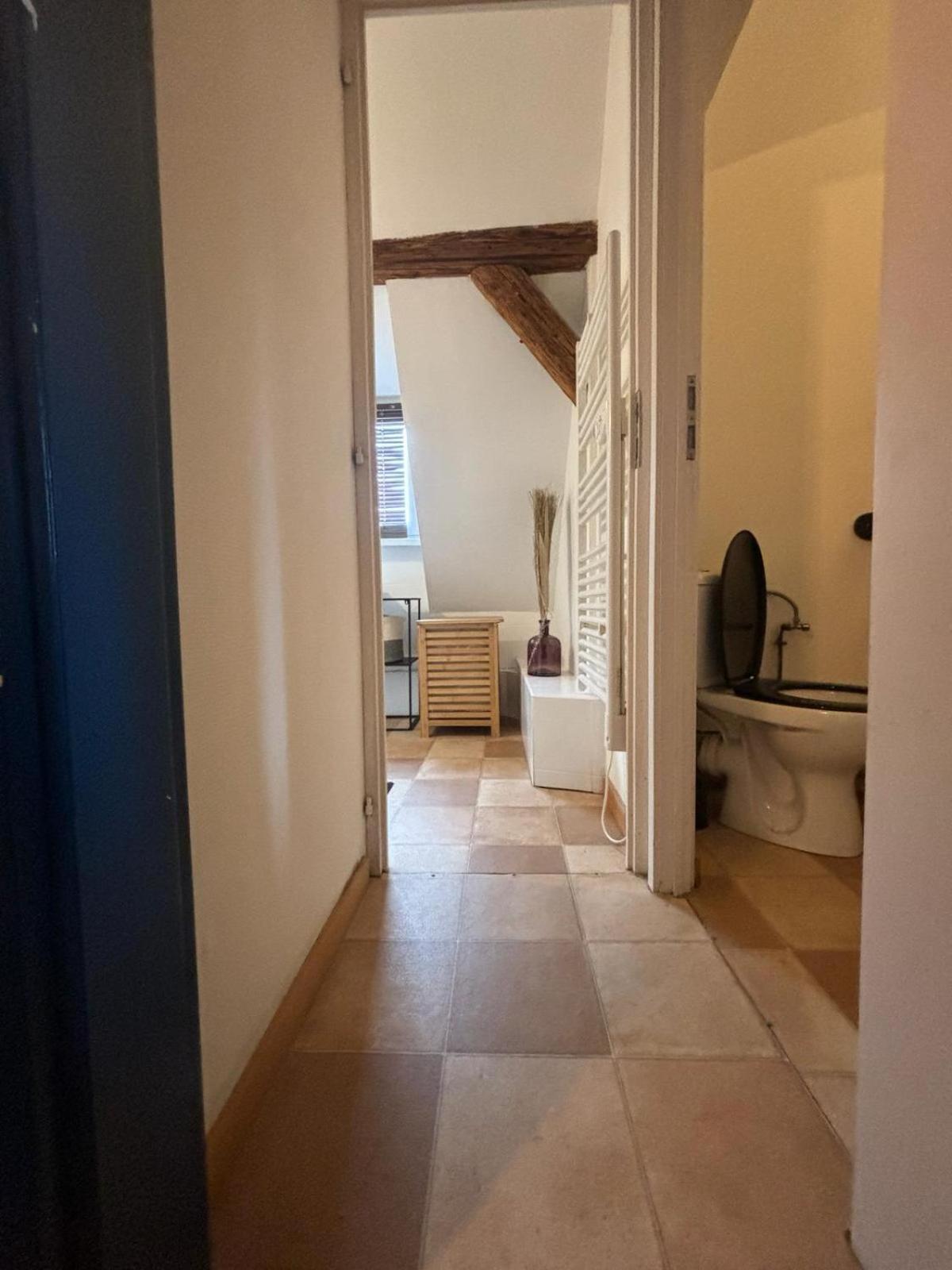 Charmant Appartement Proche Strasbourg A Eckwersheim Exterior photo